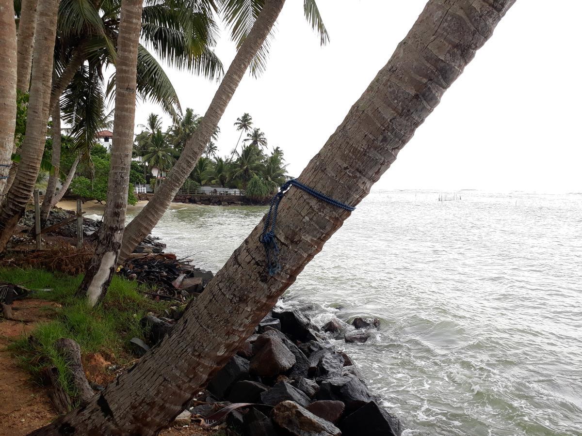 Himawari Beach Villa Matara Exterior foto